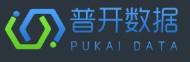 普開(kāi)大數(shù)據(jù)